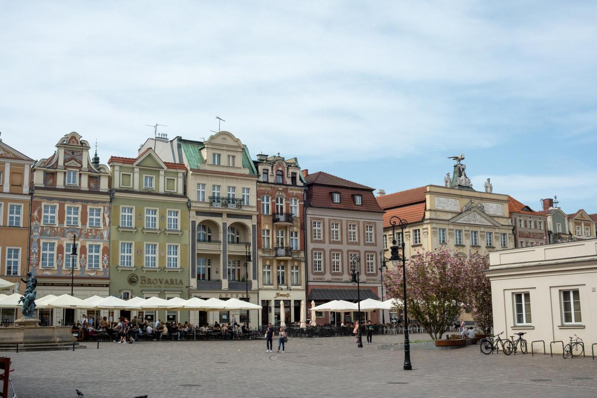 Apartamenty Drevny Kocur Poznan Exterior photo